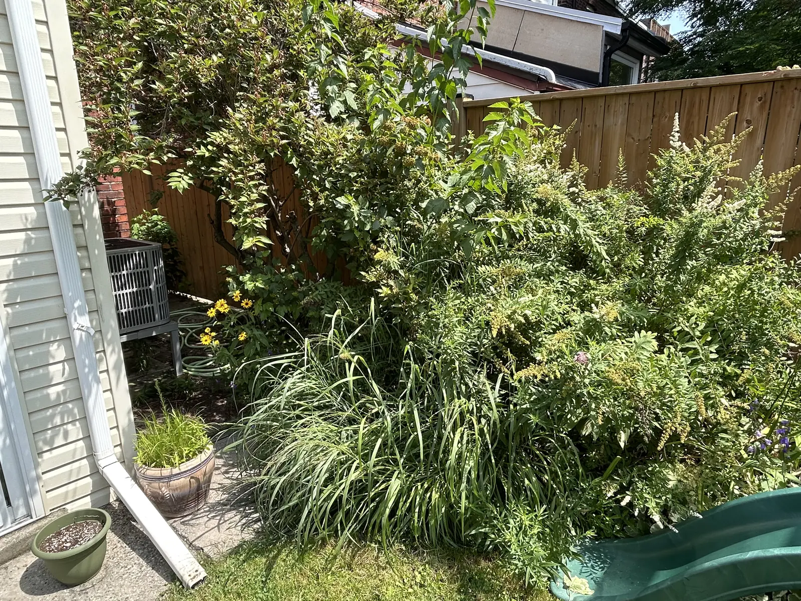 Neglected garden bed with bare soil and weeds